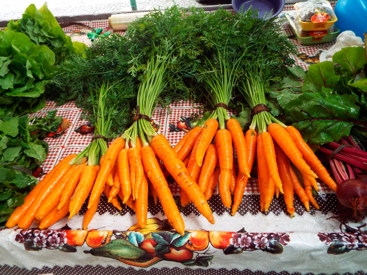 feira orgânica foto waltencir carlos da silva 2