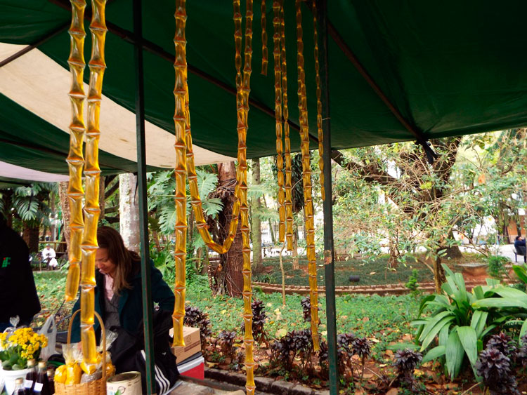 feira-orgânica-foto-waltencir-carlos-da-silva-3