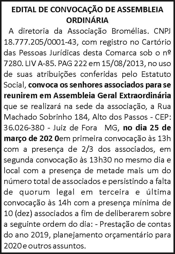 Associação Bromélias 4 1 BROMELIAS
