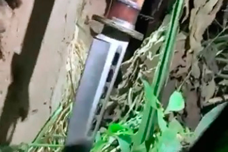 idoso assassinado divulgação Polícia Civil 2
