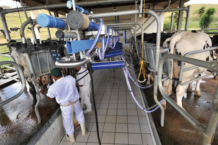 Preço do leite sobe quase 30% nos últimos seis meses em Juiz de Fora 1 leite
