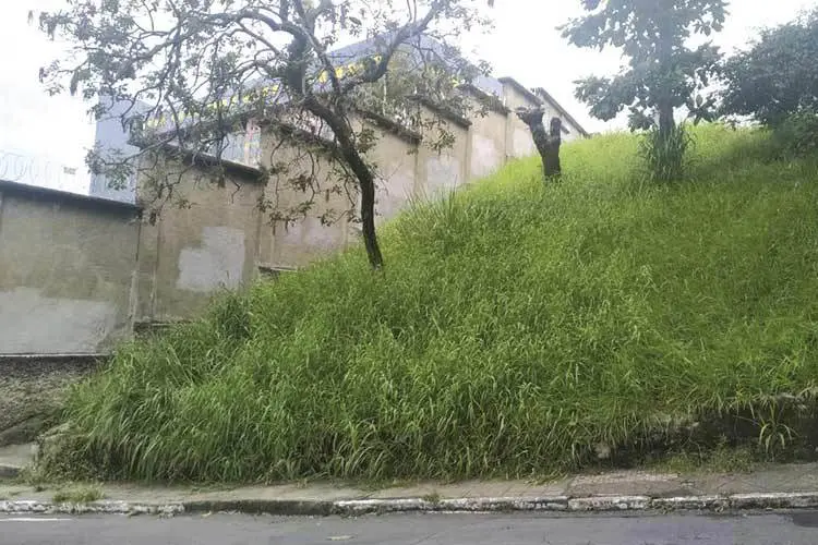 Escadão é tomado por mato no Morro da Glória 1 vu 1602