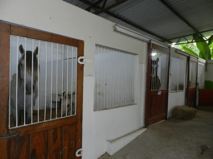 Hospital Veterinário