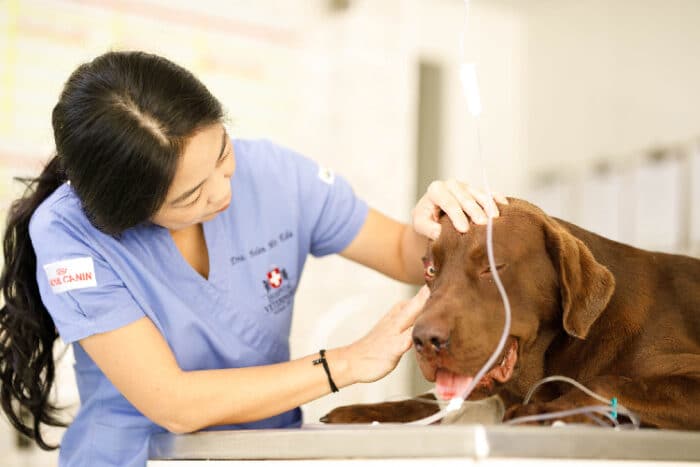 Hospital Veterinário