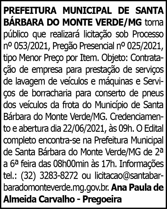Santa Bárbara do Monte Verde - Processo Nº 025/2021 4 1 BARBARA 053