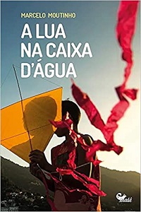 capa do livro a lua na caixa dagua 2