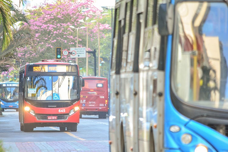 jessica pereira onibus transporte coletivo