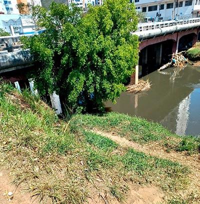 Mulher em situação de rua dá à luz gêmeos embaixo de ponte 2 mulher da a luz gemeos ponte ladeira foto divulgacao samu