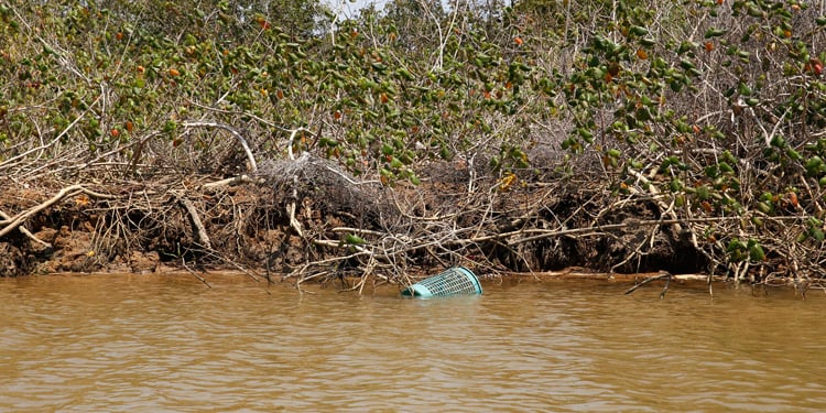 Rio Paraíba do Sul