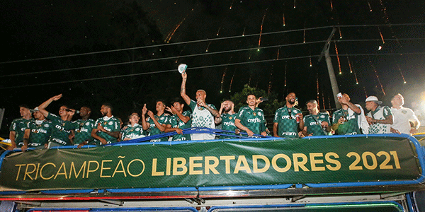 palmeiras.