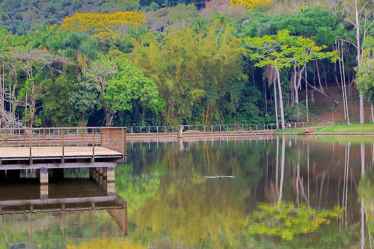 jardim botanico fernando priamo