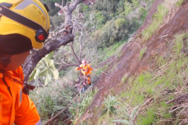 Resgate no Floresta by bombeiros e1641393131179