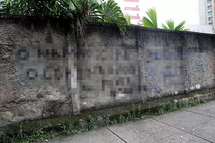 muro pichado by fernando priamo