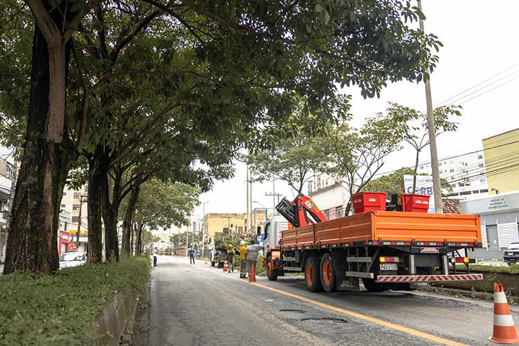 PJF faz poda de árvores na Avenida Rio Branco 1 poda de arvores 2 barbara landim
