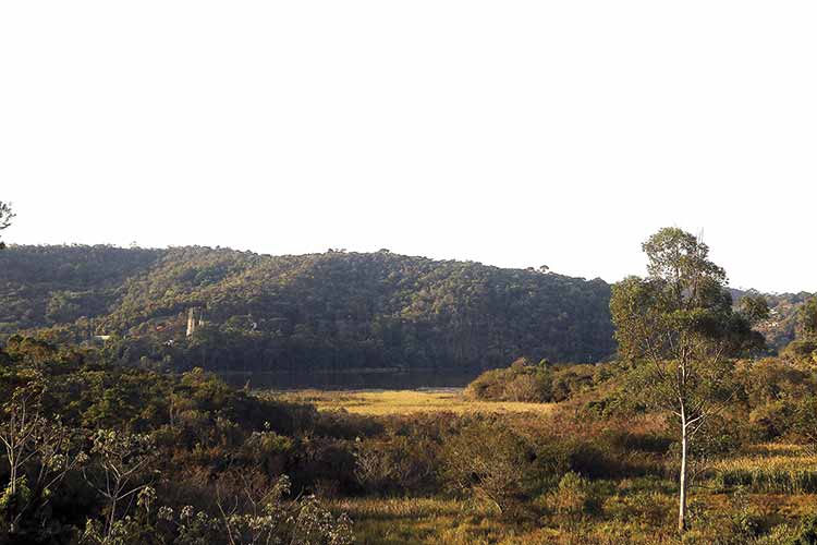 Represa Sao Pedro fernando priamo 2