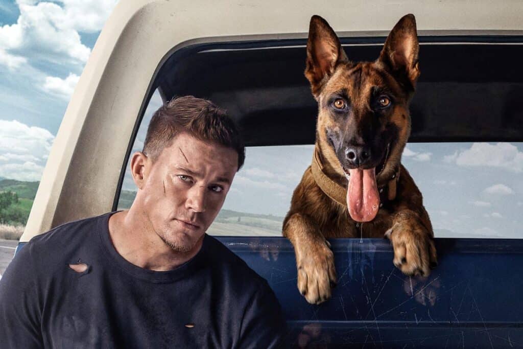 Programação dos cinemas - 19 a 25 de maio 1 dog 2