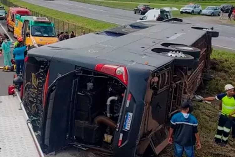 onibus conrado e aleksandro reproducao redes sociais
