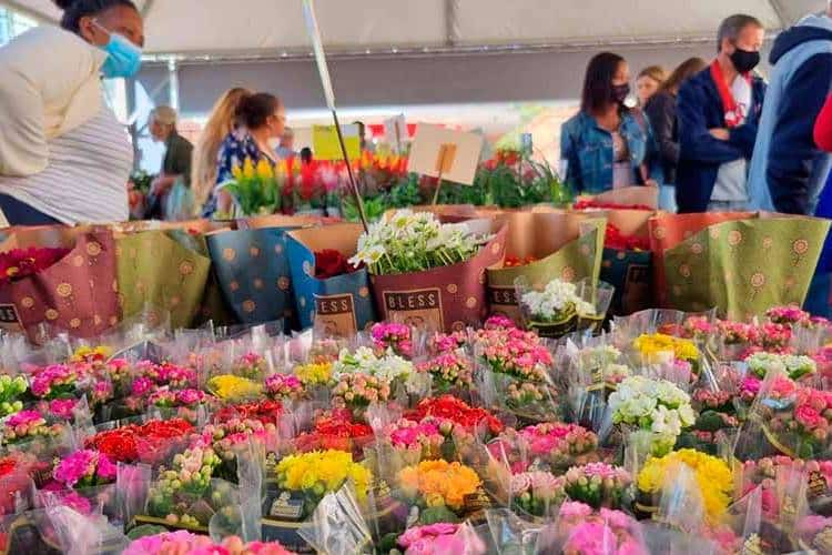 Feira de Holambra é retomada e leva mais de 150 espécies de plantas à Praça da Estação 1 Feira de Holambra 2022 Leonardo Costa