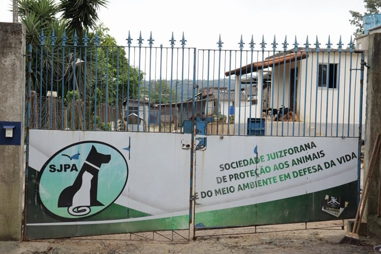 sociedade juizforana de protecao aos animais divulgacao