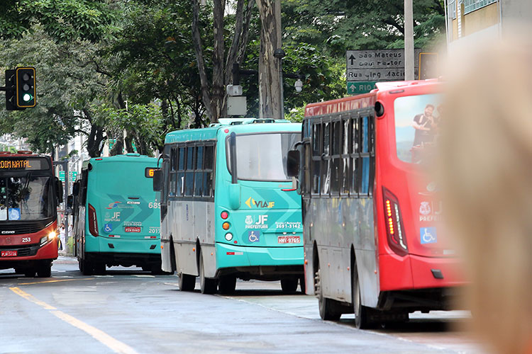 onibus transporte publico fernando priamo 3