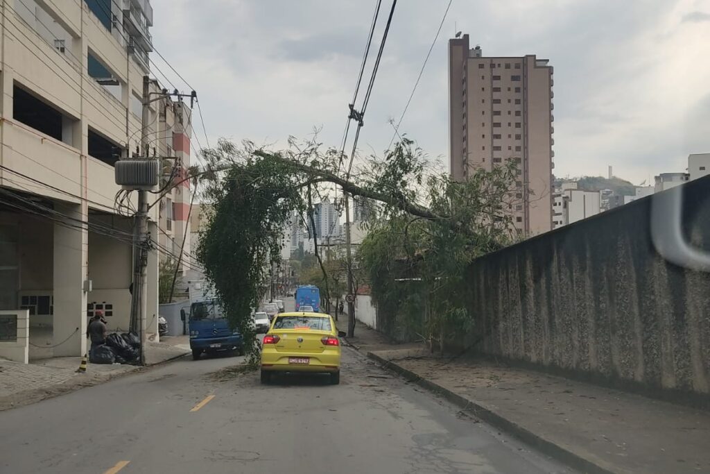 rua dom silverio arvore caiu e1663849705500