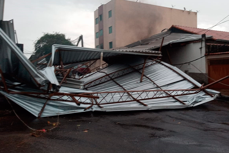 Queda de árvore na Rua Bernando Mascarenhas interrompe trânsito no local 1 telhado