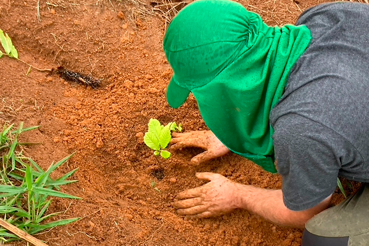 2Fazenda experimental ufjf