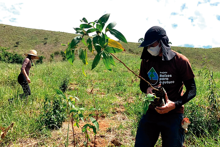 3Fazenda experimental ufjf