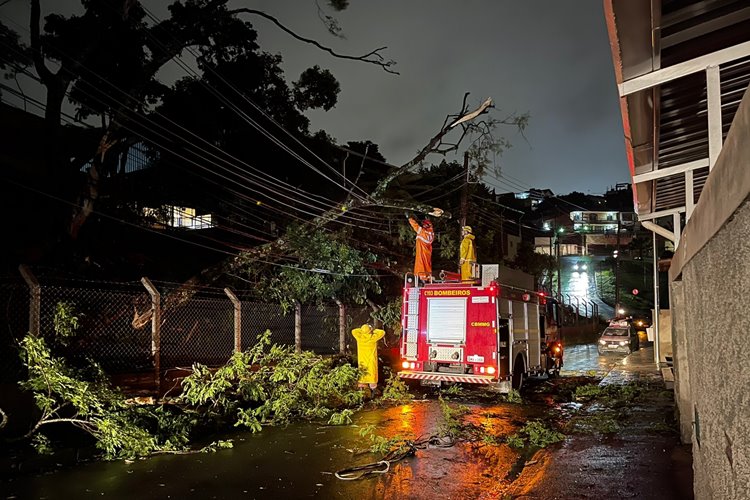 arvore cai em cima de carro gabriel magacho