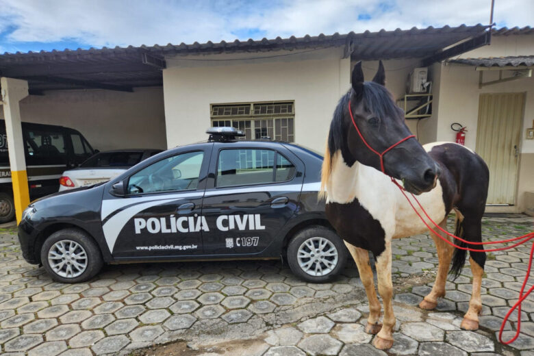 PCMG prende suspeito de matar cavalo com lança em Ubá