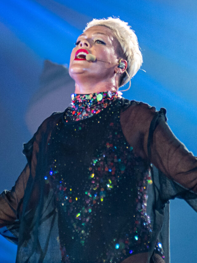 Pink: fã atira cinzas da mãe durante concerto deixando cantora em