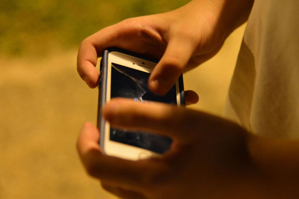 perigo internet celular valter campanato agencia brasil