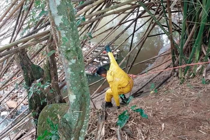 policial desce em bambuzal