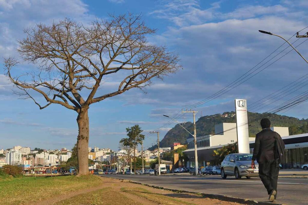 Temperatura deve voltar a cair a partir de quarta-feira em JF 1 TEMPO Felipe Couri 5