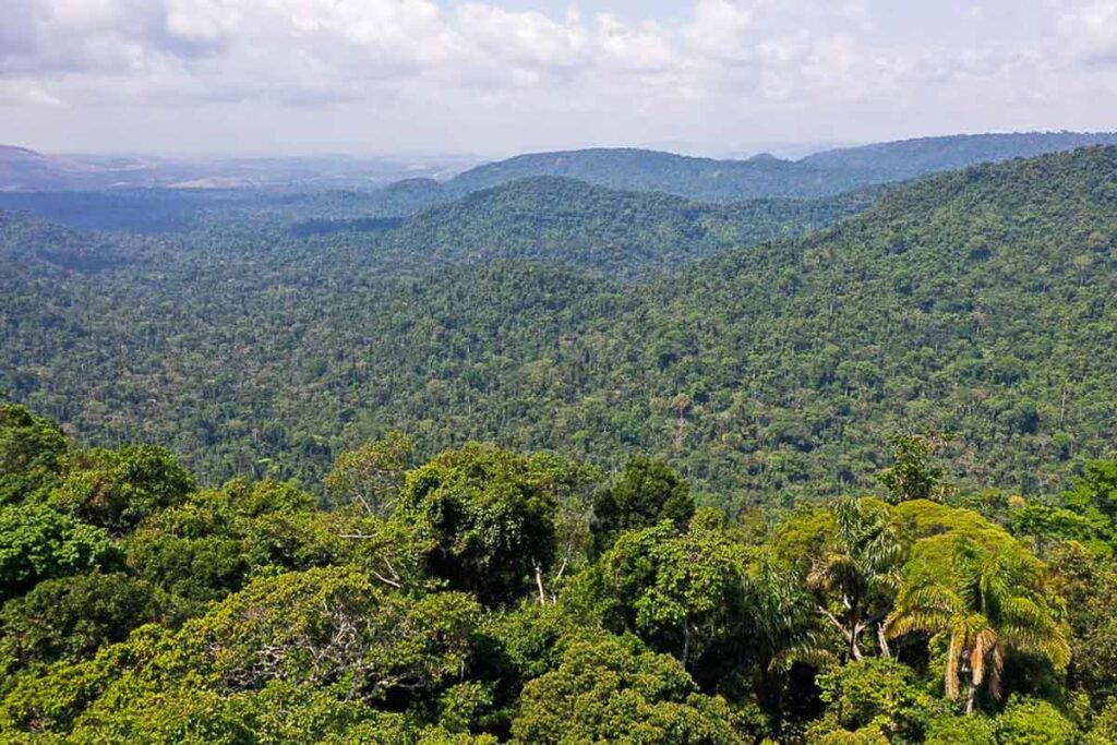 amazonia reproducao tv brasil agencia brasil