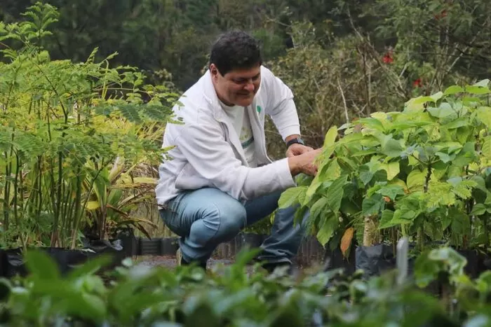 Iniciativas de Juiz de Fora valorizam potencial das plantas nativas na geração de renda 3 plantas nativas