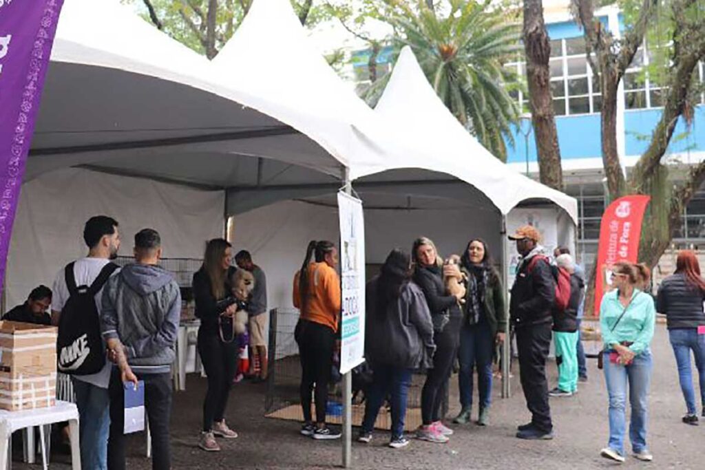 Canil Municipal passa a fazer evento de adoção de 15 em 15 dias foto reprodução pjf