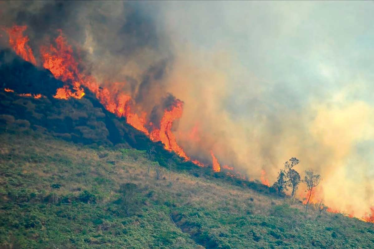 incendio eldorado foto bombeiros