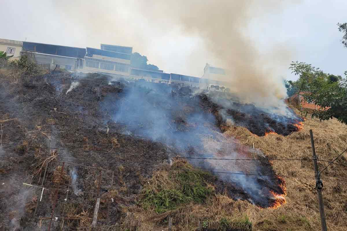 incendio teixeiras 4 nayara zanetti