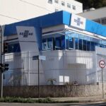 Sebrae migrantes