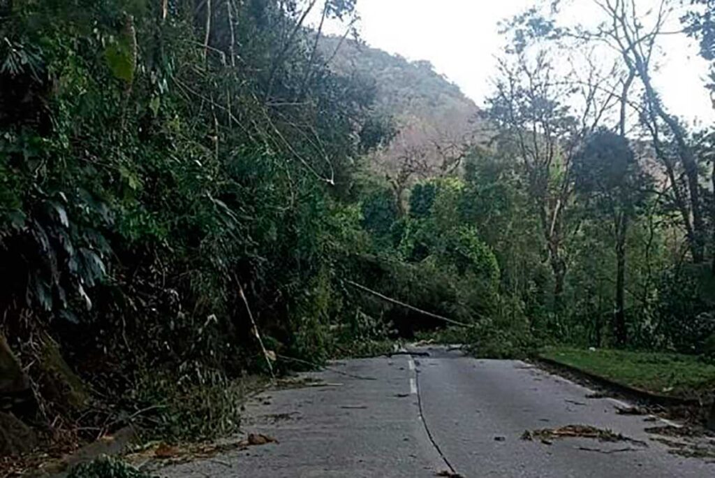 Vendaval provoca quedas de árvores na subida e descida da Serra de Petrópolis foto Concer