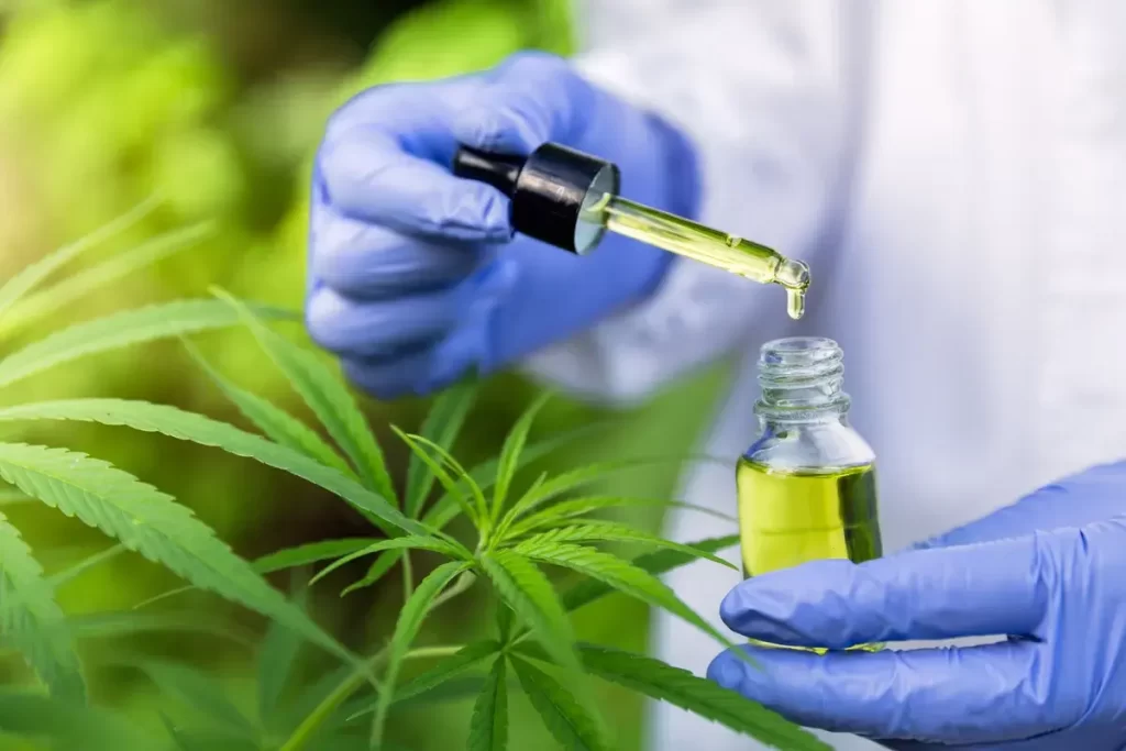 Distribuição de medicamentos à base de cannabis é autorizada em Juiz de Fora
