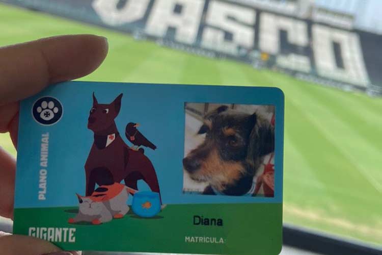 Eventos de adoção deram lar a 129 animais em 2023 2 ADOCAO FOTO 2 arquivo pessoal