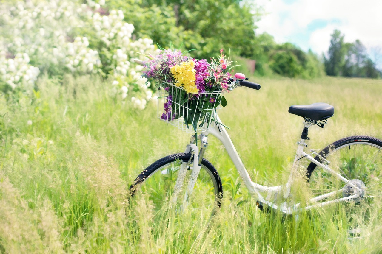 5 melhores roteiros para viajar na primavera