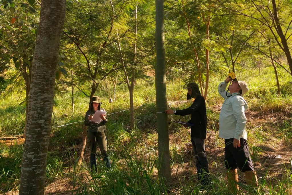 biosfera e as mudas da ufjf