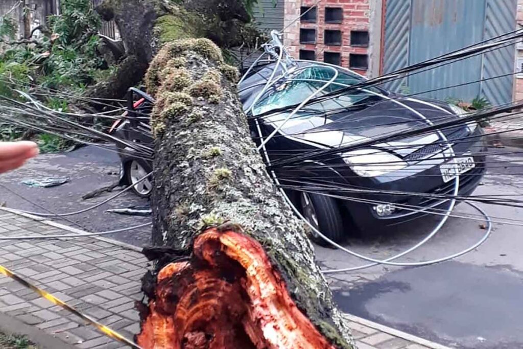 Com 19 ocorrências por causa da tempestade, JF tem mais da metade das chuvas previstas para outubro