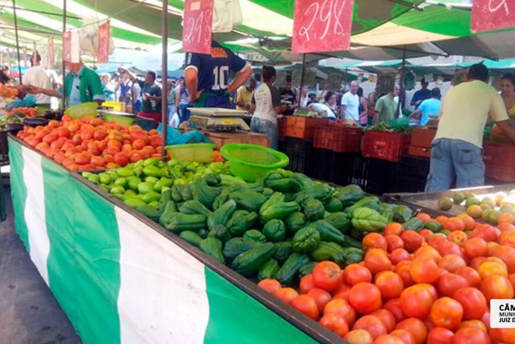 feira livre divulgacao camara