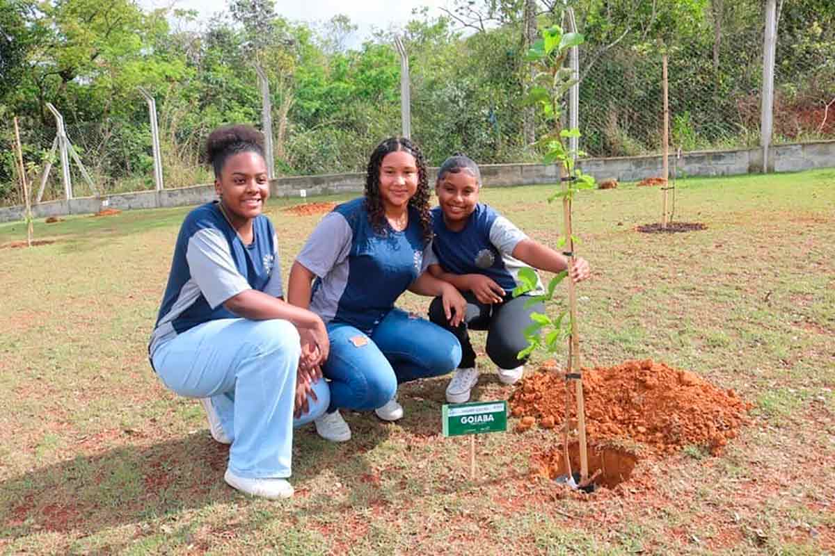 Inscrições para Programa Jovens Mineiros Sustentáveis do governo estão abertas