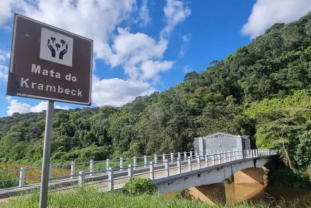 Mata do Krambeck Leonardo Costa