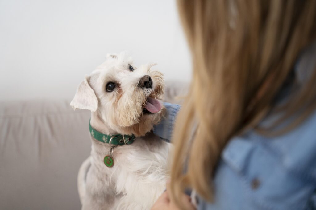 close-up-mulher-e-cachorro-fofo pet